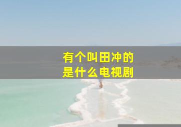 有个叫田冲的是什么电视剧