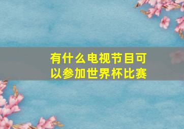 有什么电视节目可以参加世界杯比赛