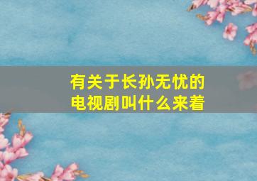 有关于长孙无忧的电视剧叫什么来着