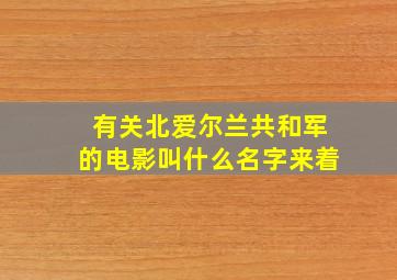 有关北爱尔兰共和军的电影叫什么名字来着