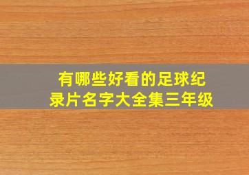 有哪些好看的足球纪录片名字大全集三年级