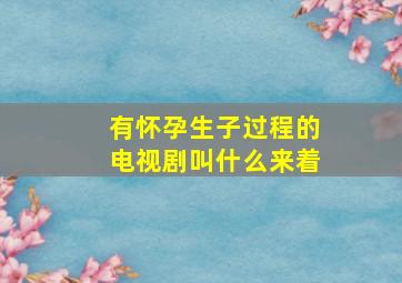 有怀孕生子过程的电视剧叫什么来着