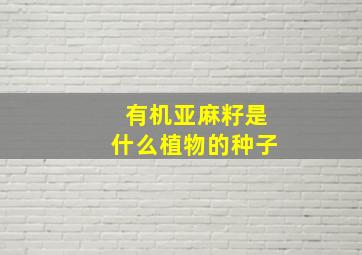 有机亚麻籽是什么植物的种子