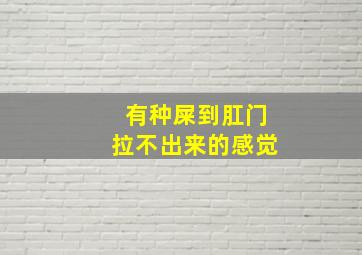 有种屎到肛门拉不出来的感觉