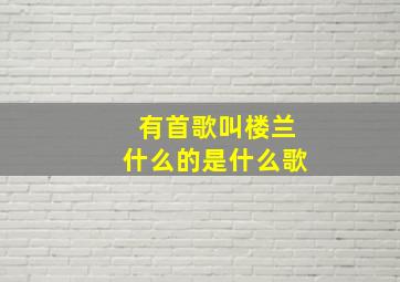 有首歌叫楼兰什么的是什么歌