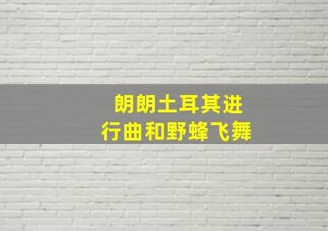 朗朗土耳其进行曲和野蜂飞舞