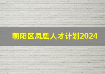 朝阳区凤凰人才计划2024