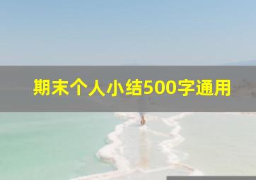 期末个人小结500字通用