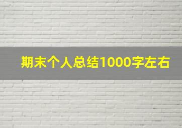 期末个人总结1000字左右