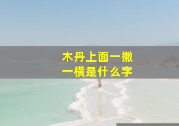 木丹上面一撇一横是什么字