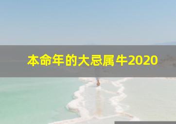 本命年的大忌属牛2020