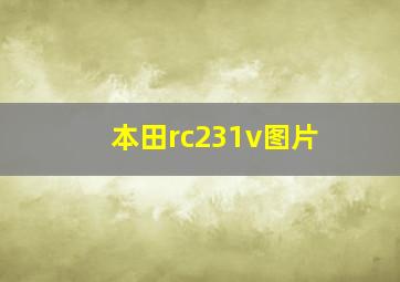 本田rc231v图片