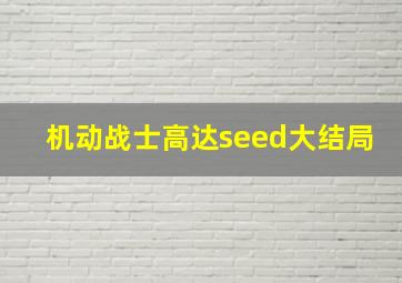 机动战士高达seed大结局