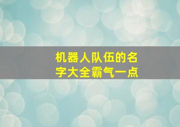 机器人队伍的名字大全霸气一点