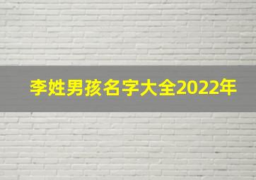 李姓男孩名字大全2022年