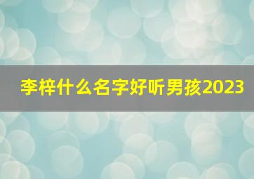 李梓什么名字好听男孩2023