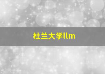 杜兰大学llm