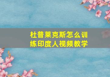 杜普莱克斯怎么训练印度人视频教学