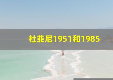 杜菲尼1951和1985