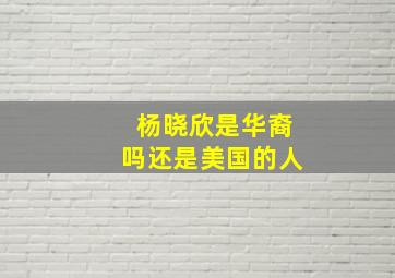 杨晓欣是华裔吗还是美国的人