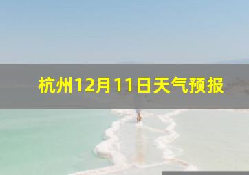 杭州12月11日天气预报