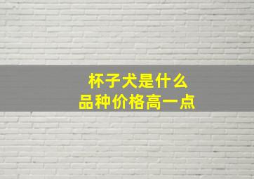 杯子犬是什么品种价格高一点