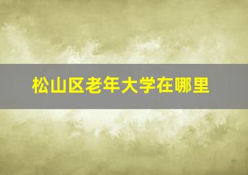 松山区老年大学在哪里