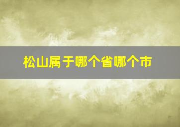 松山属于哪个省哪个市