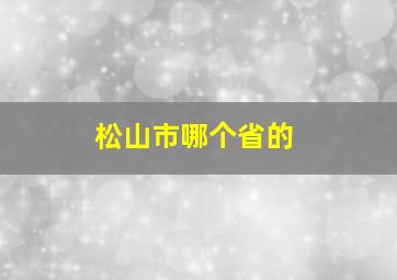 松山市哪个省的