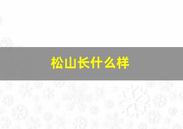 松山长什么样