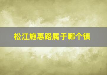 松江施惠路属于哪个镇