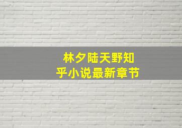 林夕陆天野知乎小说最新章节