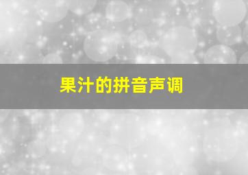 果汁的拼音声调