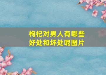 枸杞对男人有哪些好处和坏处呢图片