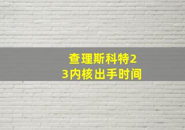 查理斯科特23内核出手时间