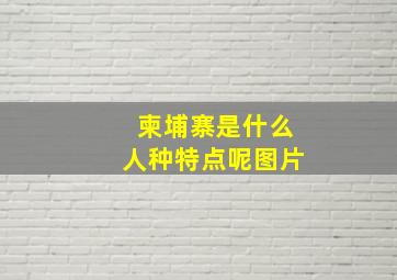 柬埔寨是什么人种特点呢图片