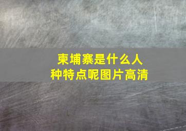 柬埔寨是什么人种特点呢图片高清