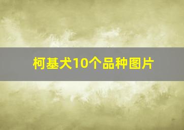 柯基犬10个品种图片