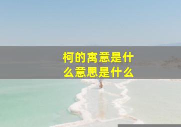 柯的寓意是什么意思是什么