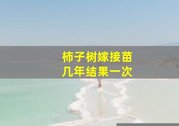 柿子树嫁接苗几年结果一次