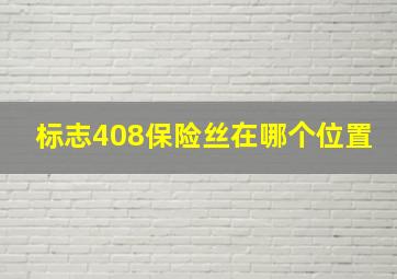 标志408保险丝在哪个位置