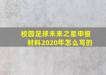 校园足球未来之星申报材料2020年怎么写的