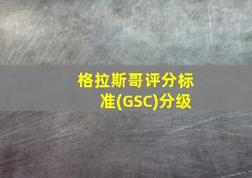 格拉斯哥评分标准(GSC)分级