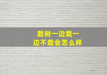 栽树一边栽一边不栽会怎么样