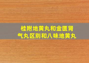 桂附地黄丸和金匮肾气丸区别和八味地黄丸