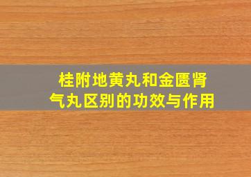 桂附地黄丸和金匮肾气丸区别的功效与作用