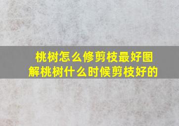 桃树怎么修剪枝最好图解桃树什么时候剪枝好的