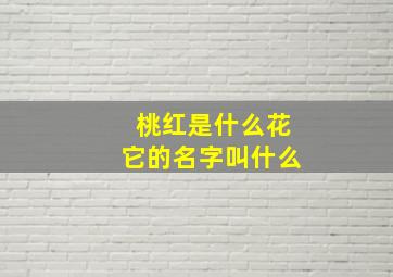 桃红是什么花它的名字叫什么