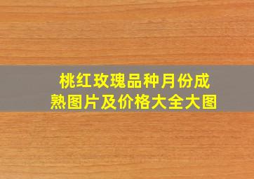 桃红玫瑰品种月份成熟图片及价格大全大图