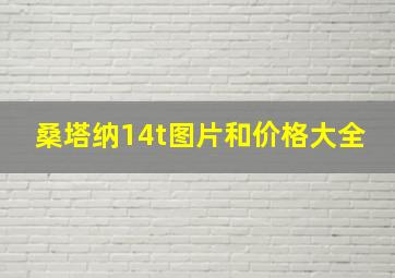 桑塔纳14t图片和价格大全